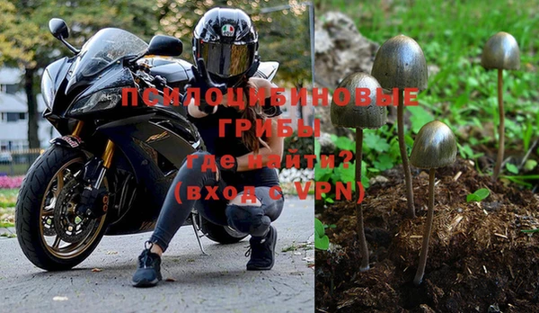 МДМА Бородино
