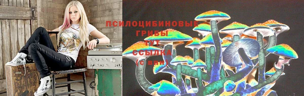 герыч Бронницы